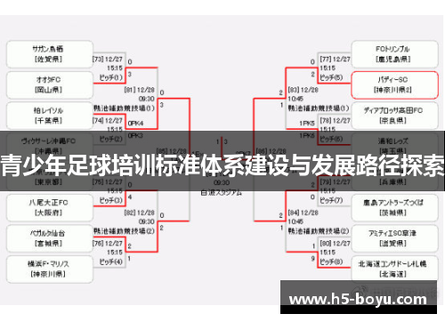 青少年足球培训标准体系建设与发展路径探索