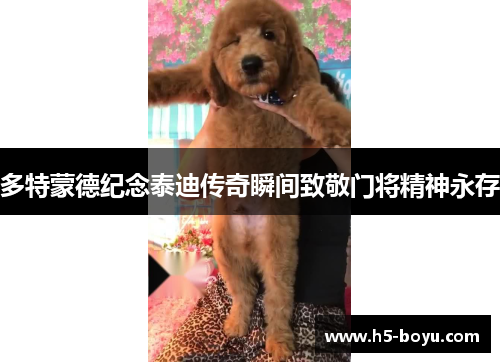 多特蒙德纪念泰迪传奇瞬间致敬门将精神永存