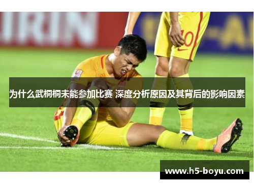 为什么武桐桐未能参加比赛 深度分析原因及其背后的影响因素