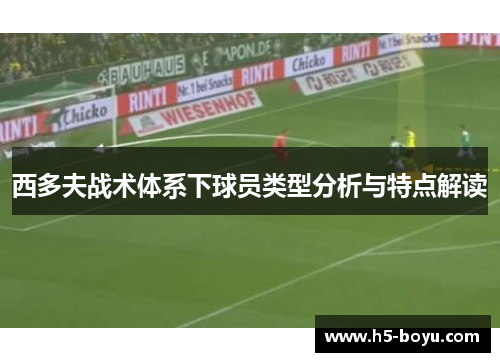 西多夫战术体系下球员类型分析与特点解读