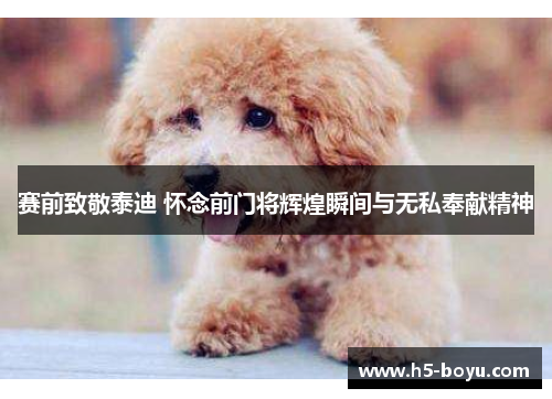 赛前致敬泰迪 怀念前门将辉煌瞬间与无私奉献精神