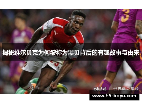 揭秘维尔贝克为何被称为黑贝背后的有趣故事与由来