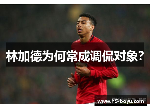 林加德为何常成调侃对象？